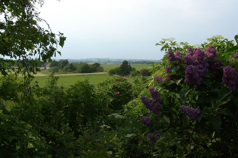 Outdoor view