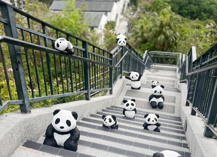 Stairs Photo
