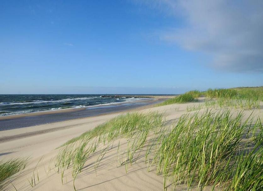 Beach Photo