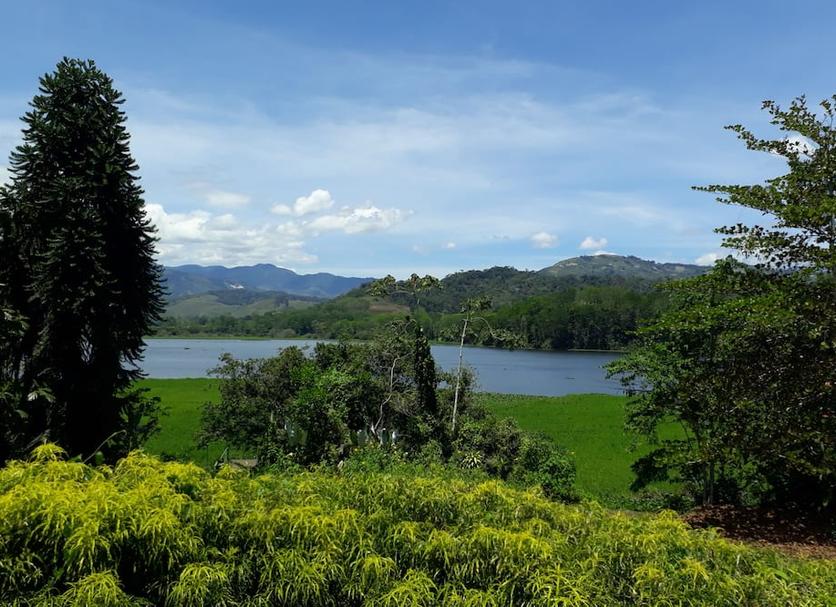 Outdoor view Photo