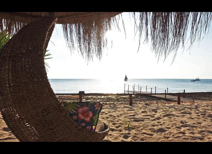 Beach Photo