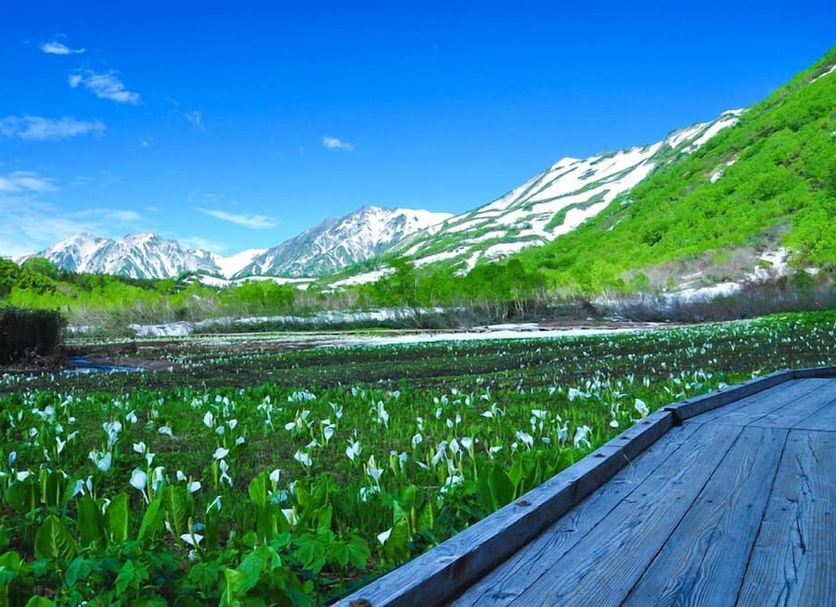 Outdoor view Photo