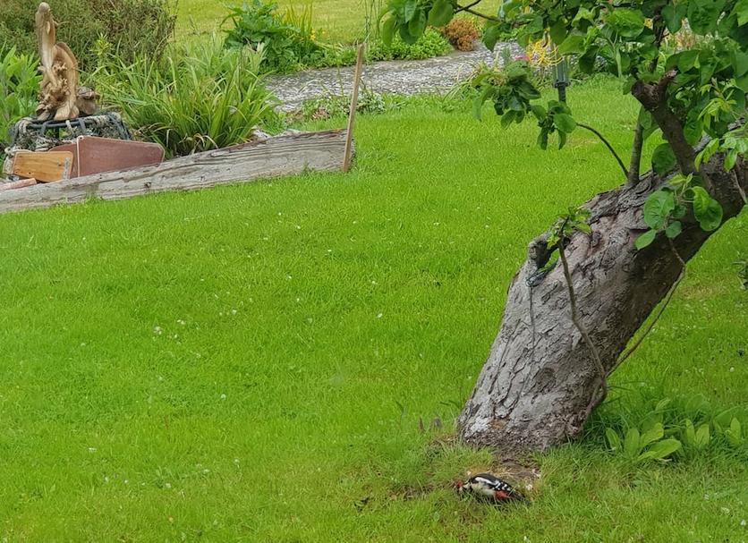 Outdoor view Photo
