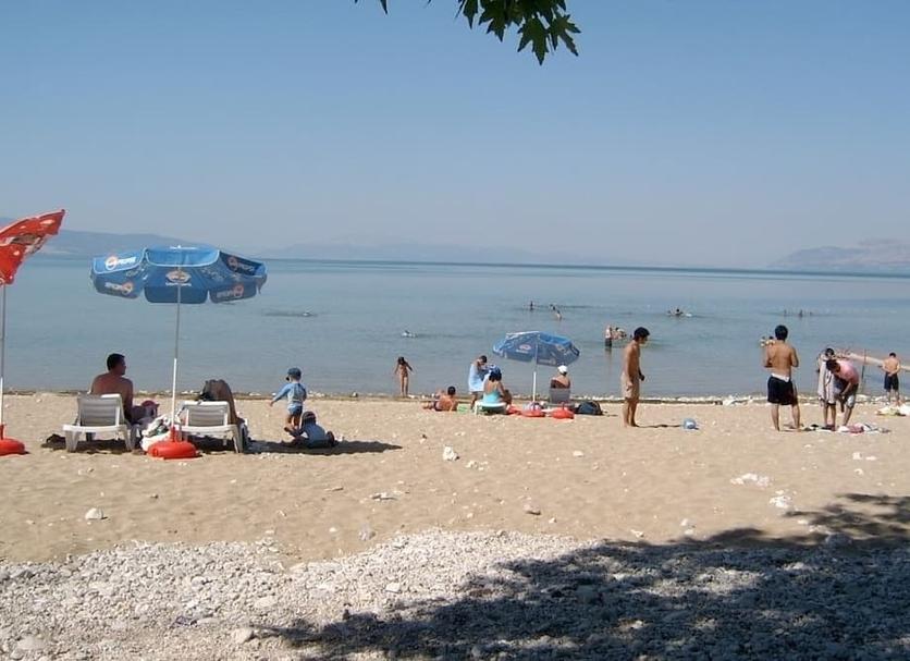 Beach Photo