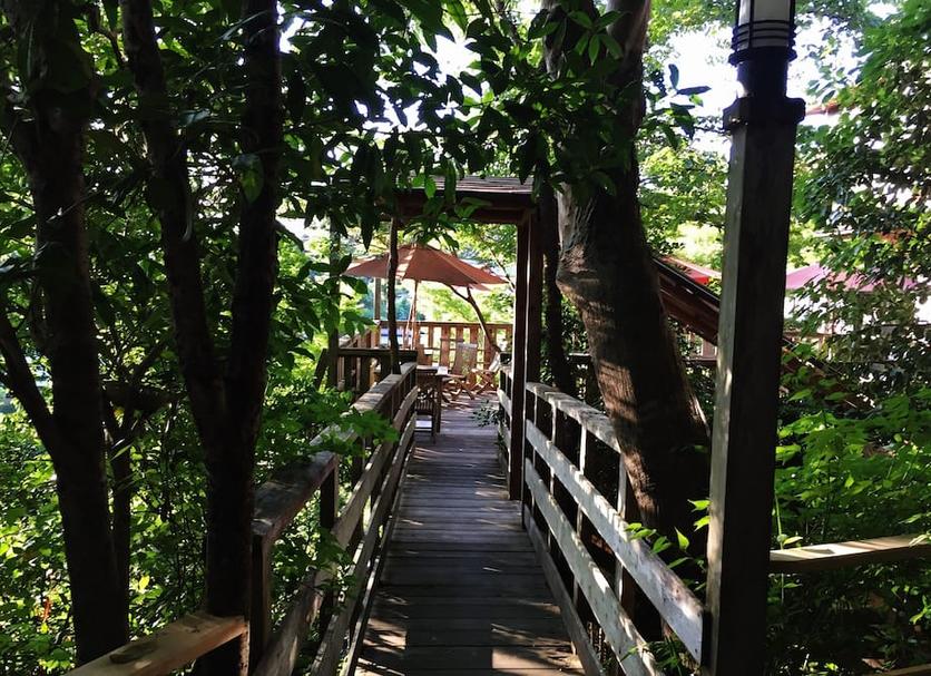 Outdoor view Photo