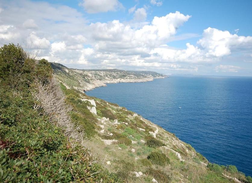 Other Photo