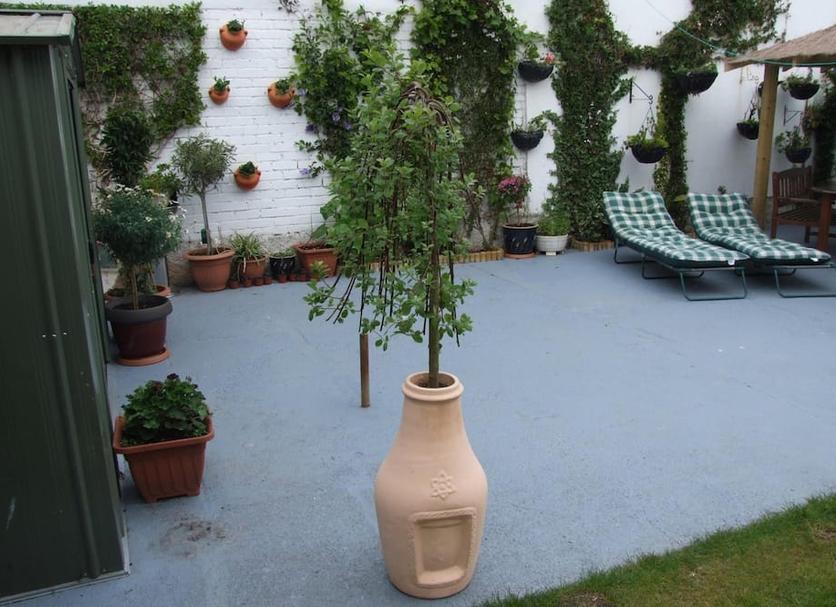 Patio Photo