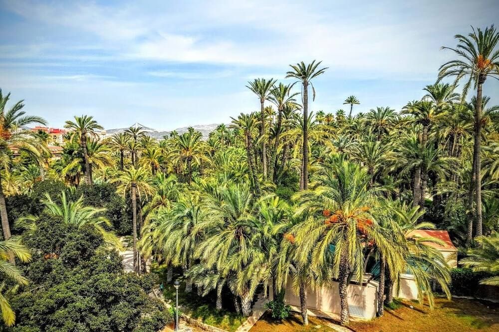 Outdoor view