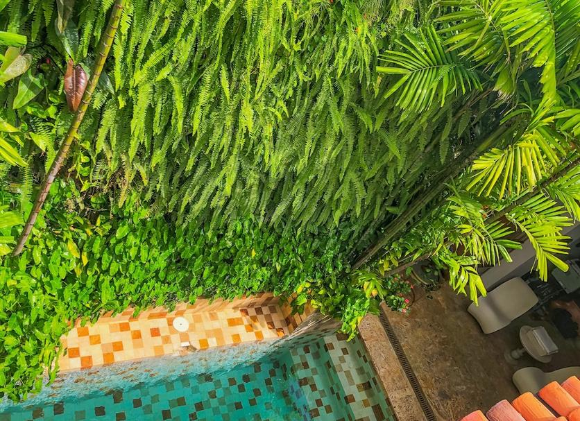 Outdoor view Photo