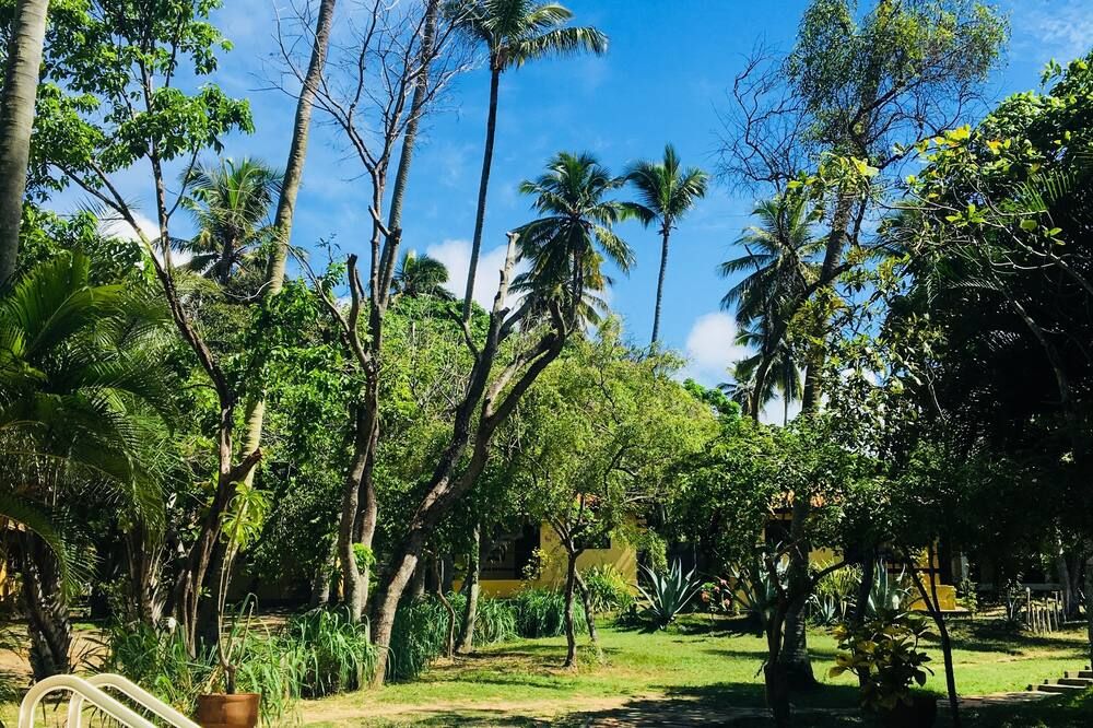 Outdoor view
