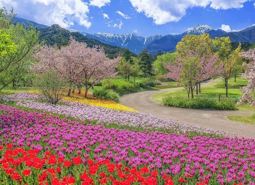 Outdoor view Photo