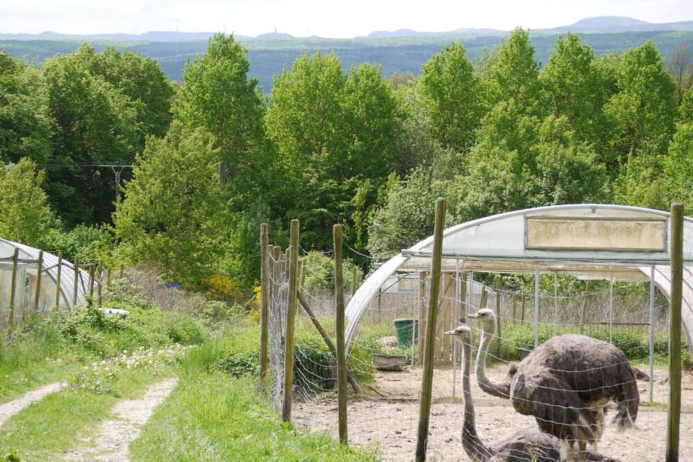 Outdoor view
