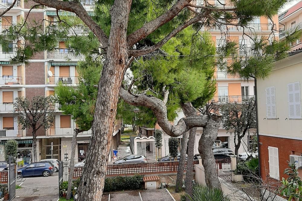 Outdoor view