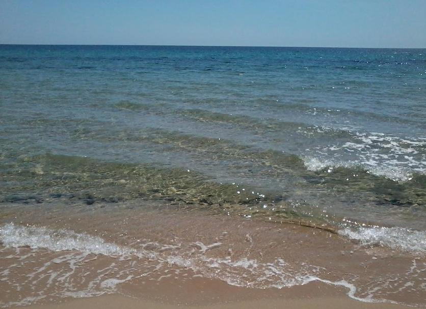 Beach Photo