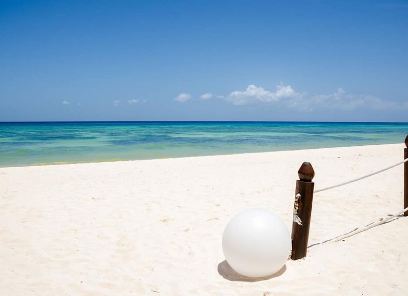 Beach Photo
