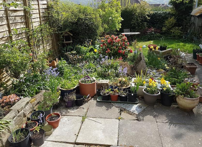Outdoor view Photo