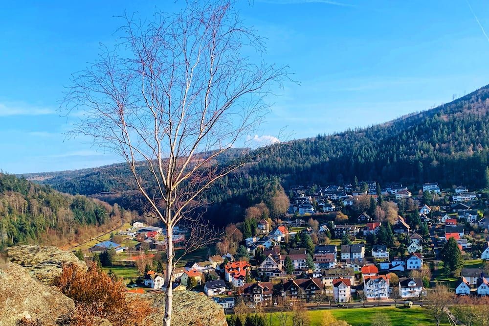 Outdoor view