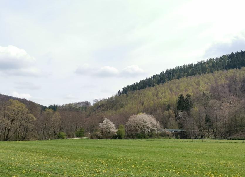 Outdoor view Photo