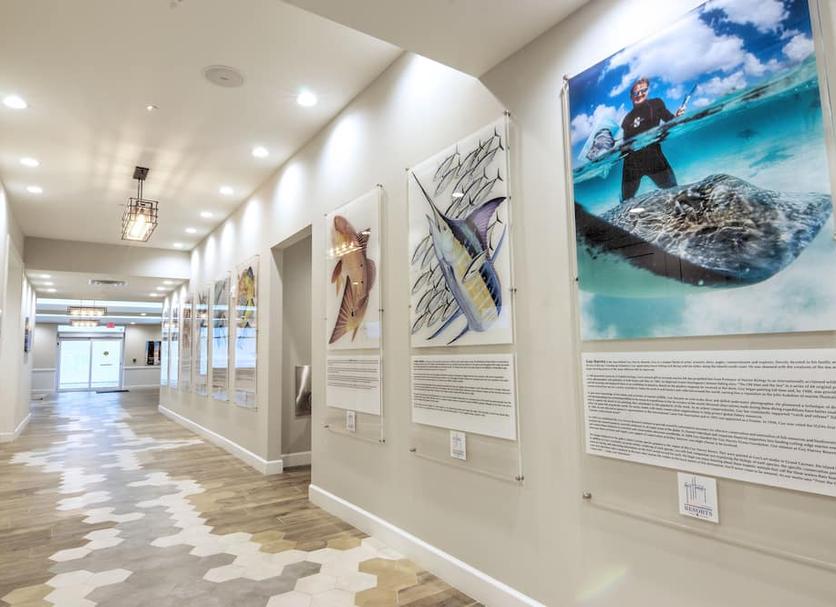 Hallway Photo