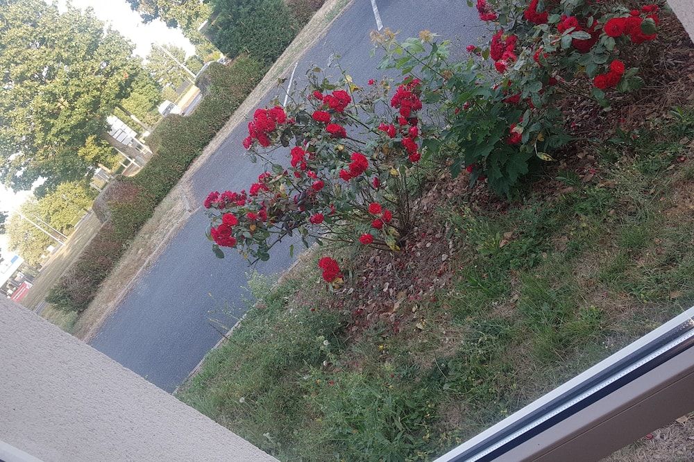 Outdoor view