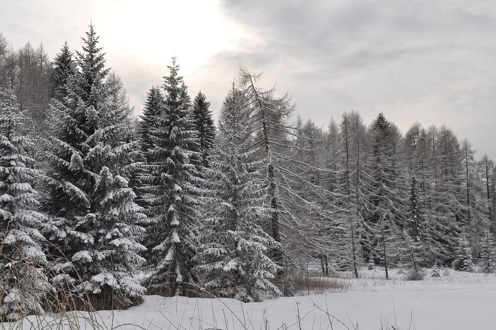Outdoor view