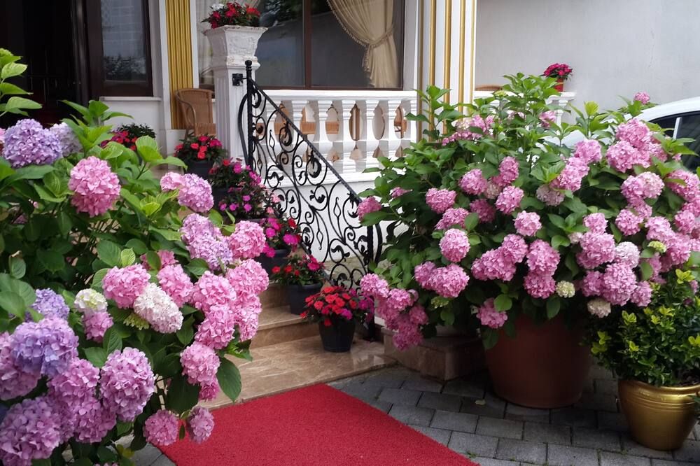 Outdoor view