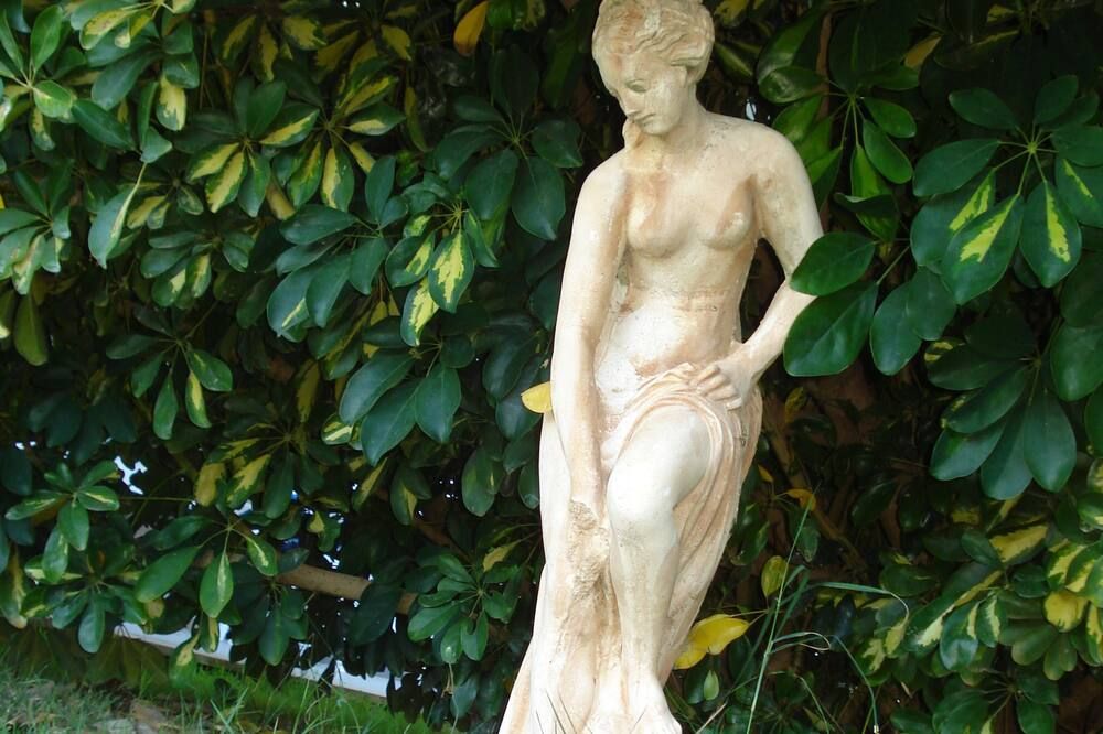Outdoor view