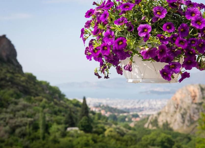 Outdoor view Photo