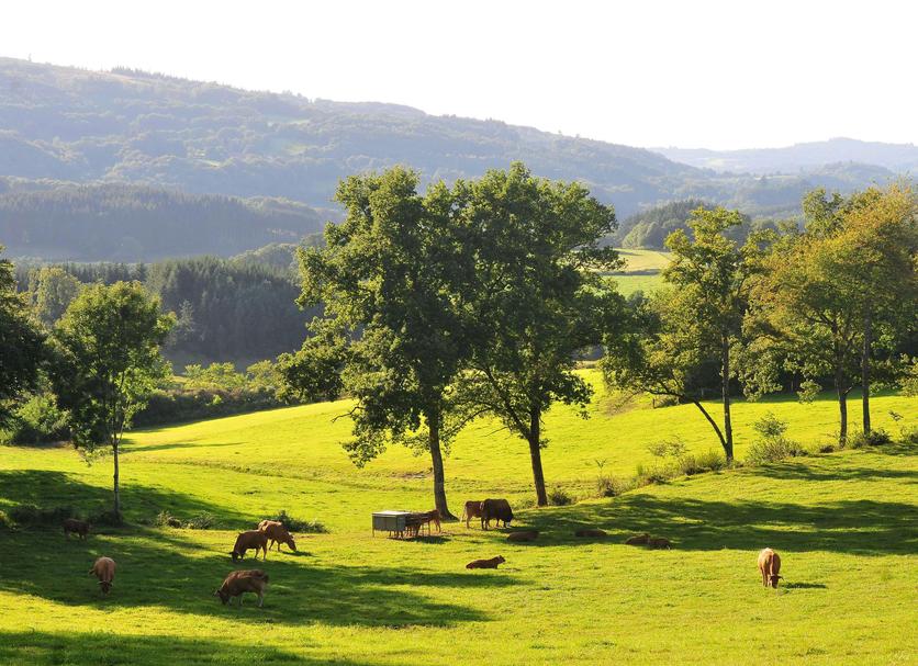 Outdoor view Photo