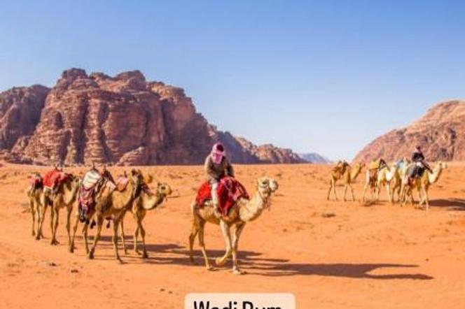 Bedouin Host Camp