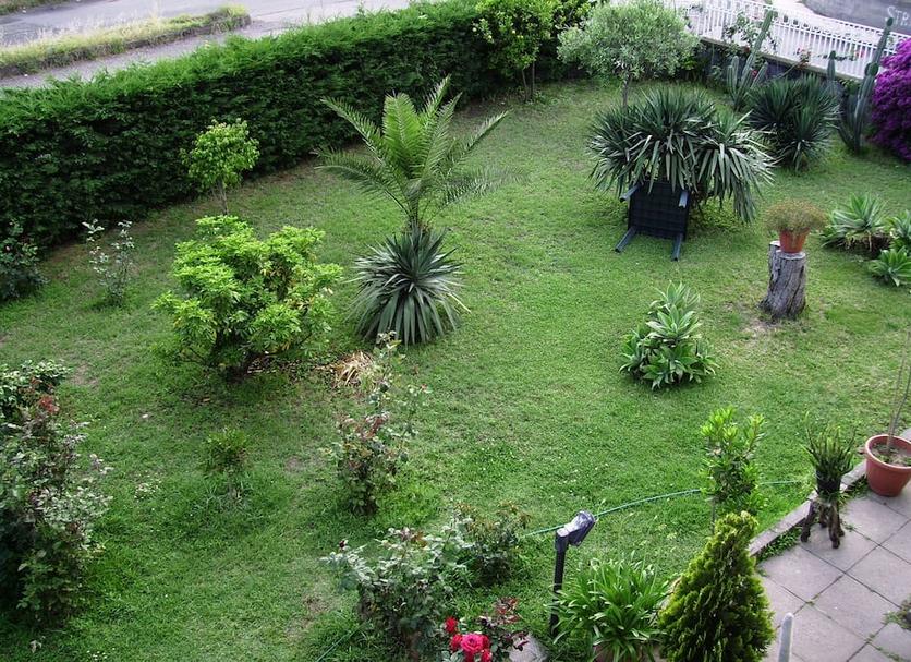 Other Photo