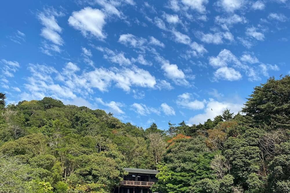 Outdoor view
