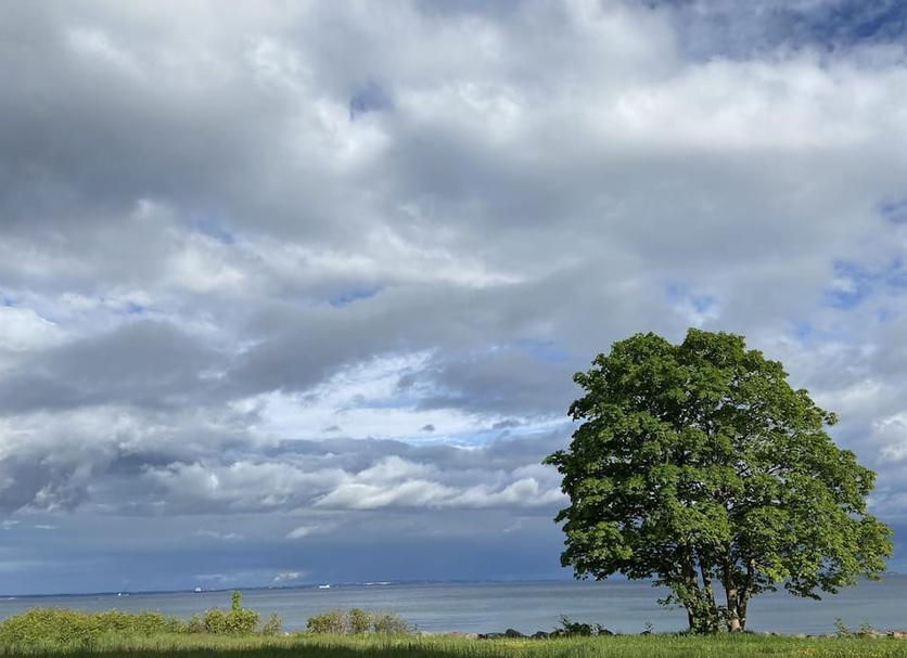 Outdoor view Photo