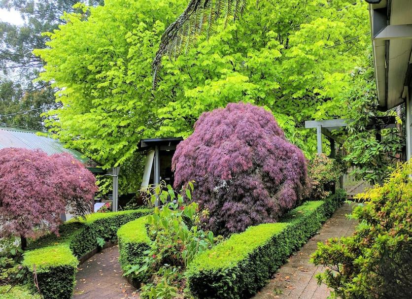 Outdoor view Photo