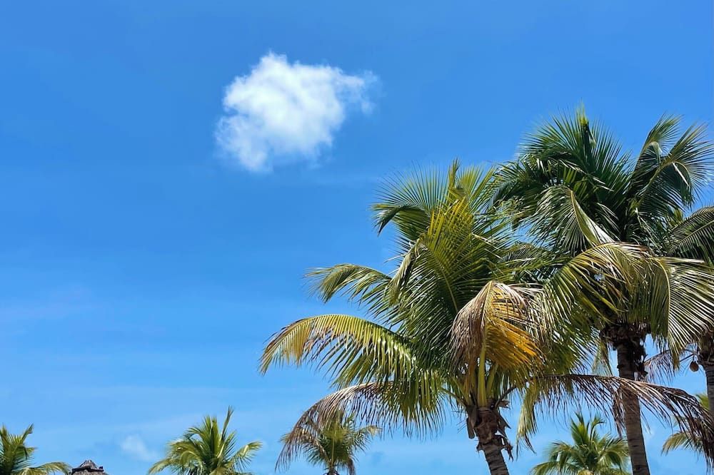 Outdoor view