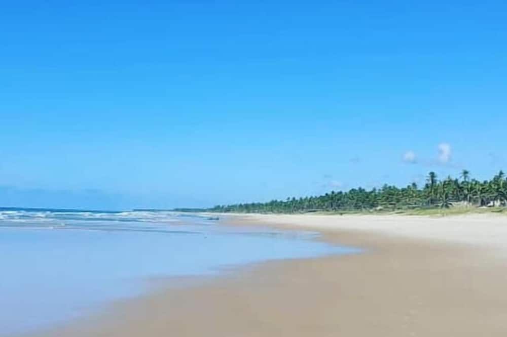 Beach Photo