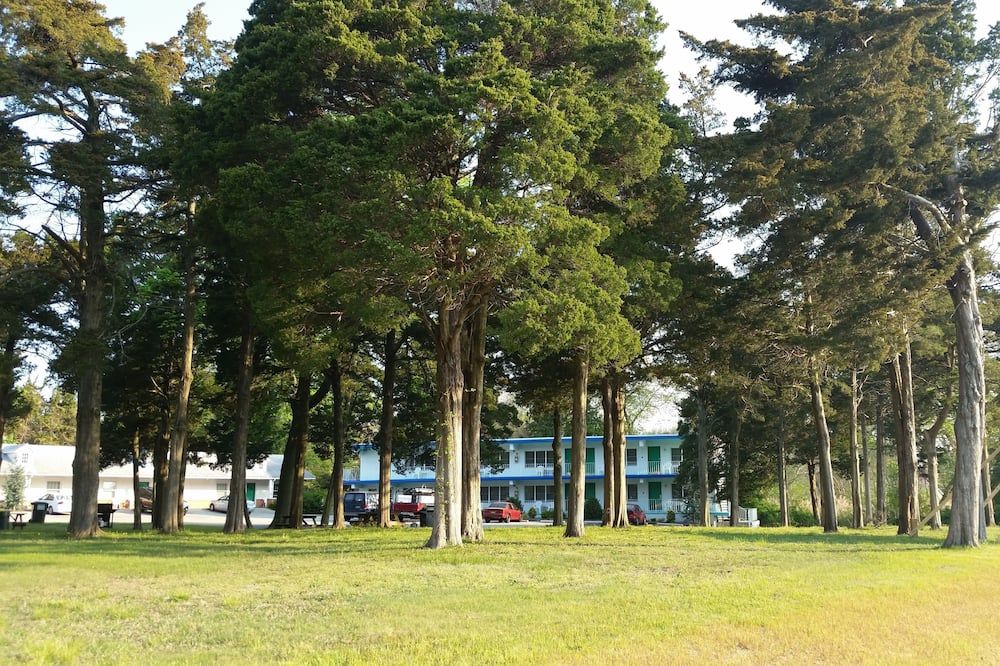 Outdoor view