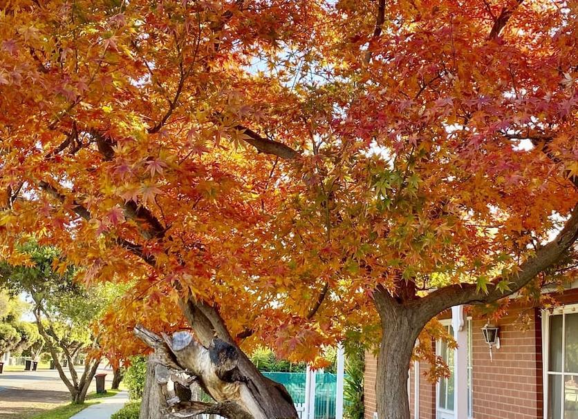 Outdoor view Photo