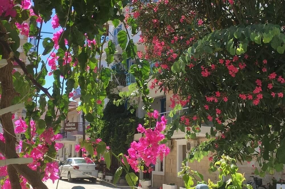 Outdoor view