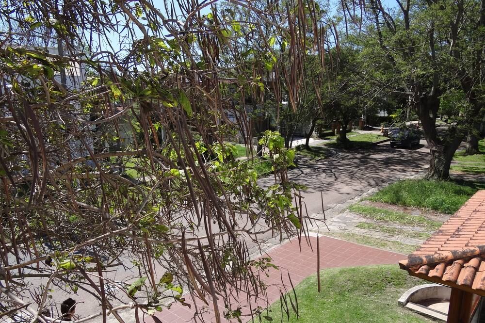 Outdoor view