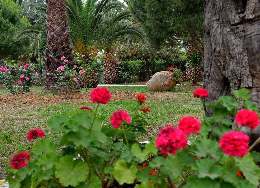 Outdoor view Photo