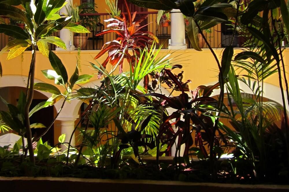 Outdoor view