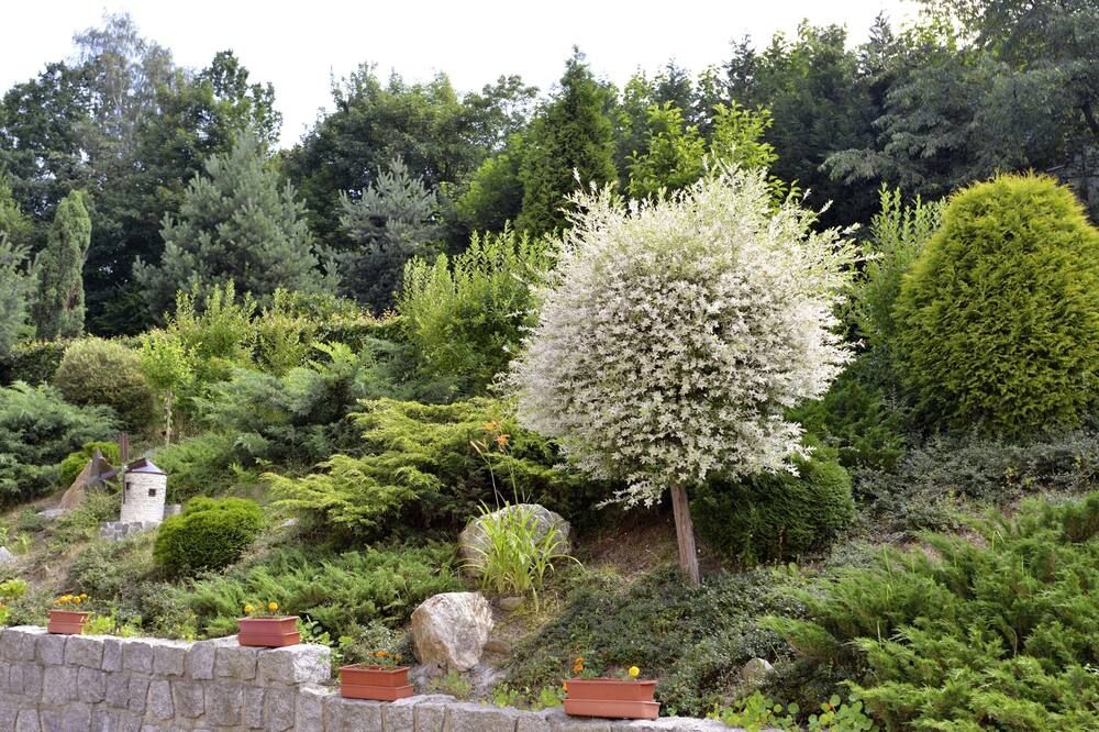 Outdoor view