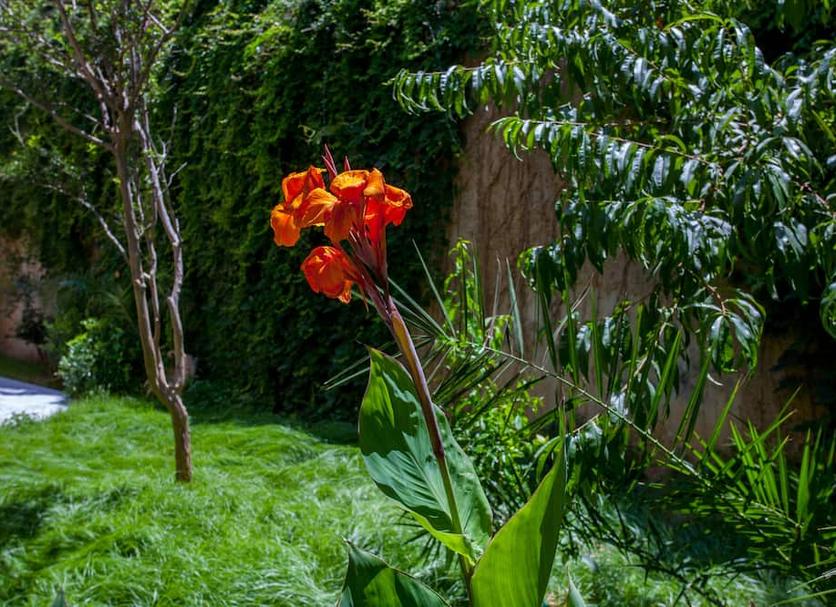 Outdoor view Photo