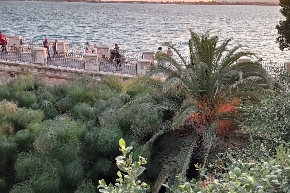 Outdoor view