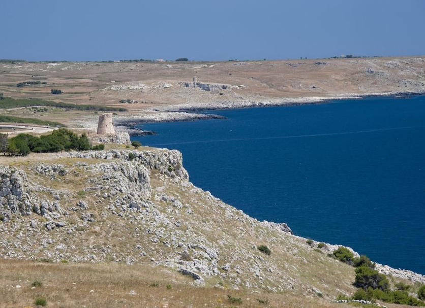 Other Photo