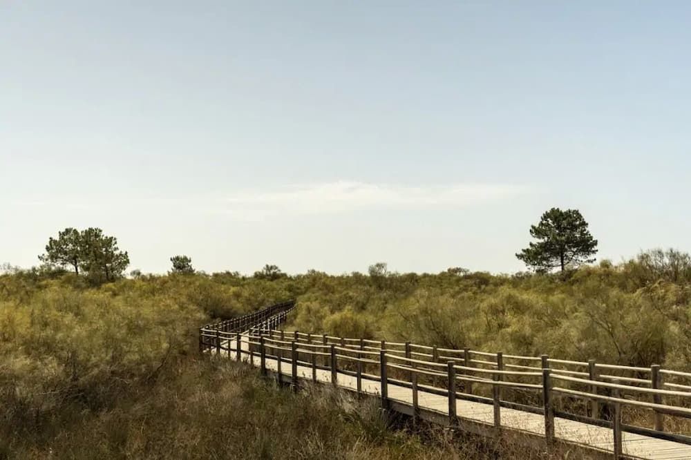 Outdoor view