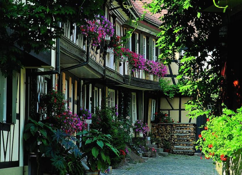 Outdoor view Photo