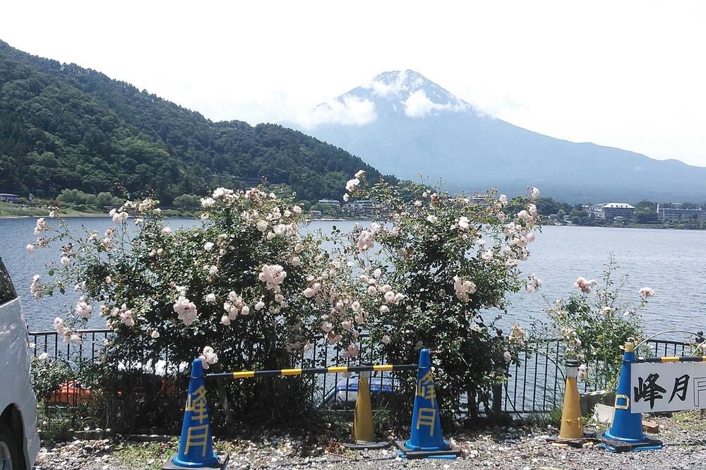 Outdoor view