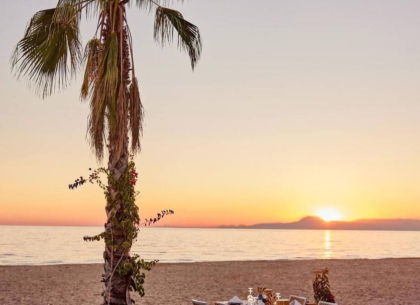 Beach Photo